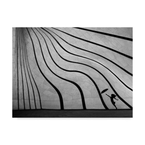 Iman Tehranian 'Dancing The Dream' Canvas Art, 35x47, Trademark Fine Art, Mfr#: 1X07226-C3547GG